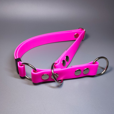 R-Dog      Lite,   (,  1)