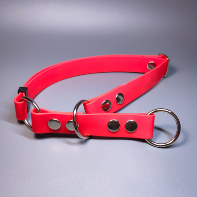 R-Dog      Lite,   (,  2)