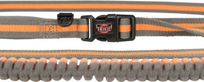 Trixie   ,   ,     (,  5)