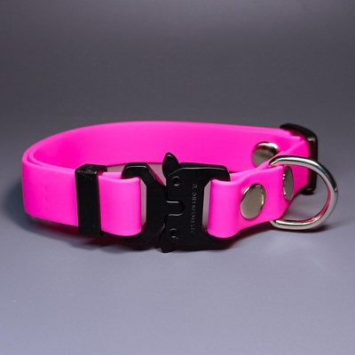 R-Dog     Lite,   "",   (,  1)