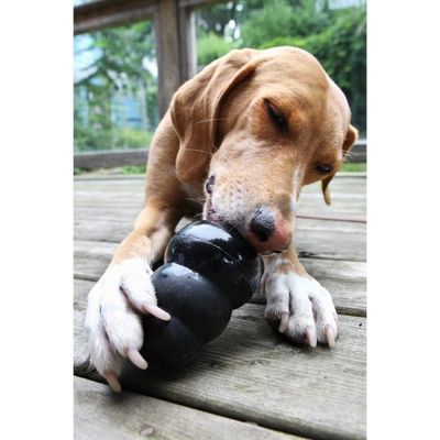Kong Extreme        (,  10)