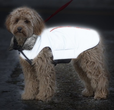       Tamarack Meteor Dog Gone Smart,   (,  2)