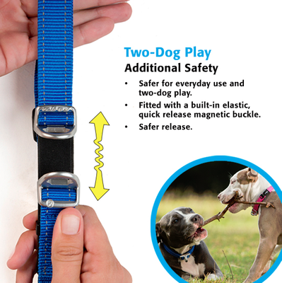 Rogz  Utility    Quick Release Magnetic Collar,   (,  3)