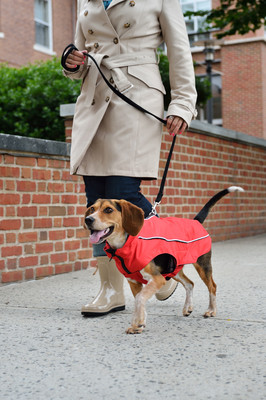  -    Nanobraker Dog Gone Smart,  (,  3)