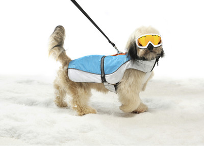       Aspen Parka Dog Gone Smart,  (,  1)