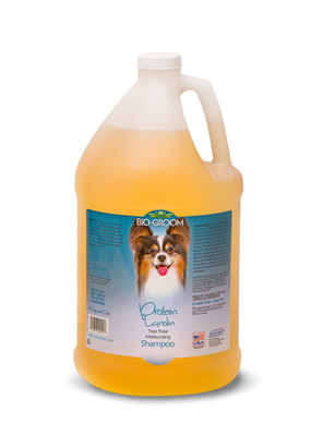 Bio-Groom Protein/Lanolin Shampoo     (,  1)