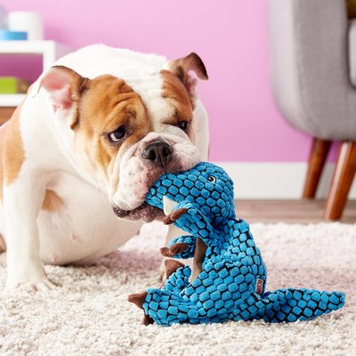 Kong     T-Rex 18  (,  1)