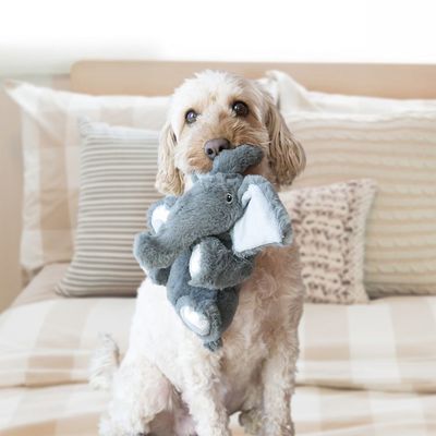Kong    Comfort Kiddos Elephant  18  (,  1)