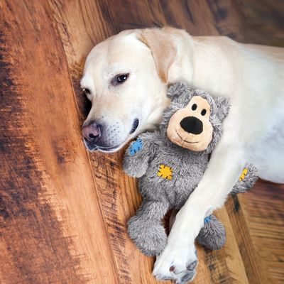 Kong    Wild Knots Bears,  (,  4)
