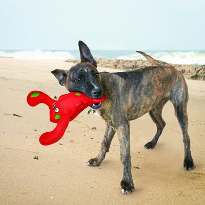 Kong Belly Flops     21  9  (,  1)