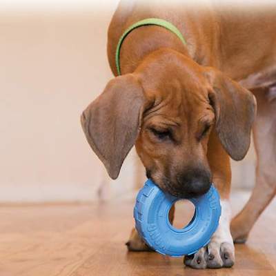 Kong Puppy Tires      , 9  (,  5)