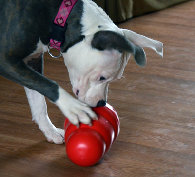 Kong Wobbler -     (,  4)