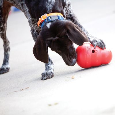 Kong Wobbler -     (,  8)