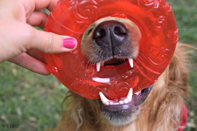 Kong Squeezz Ring     , 16  (,  3)