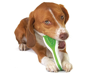 Petstages Finity Dental Chew       (,  1)