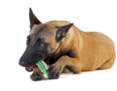 Petstages   CrunchCore (,  1)