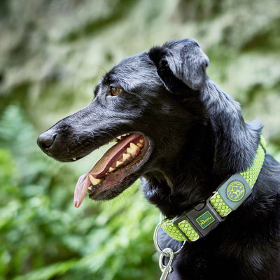 Hunter :  Hilo Vario Plus (40-60 ) +  Hilo (2   2 ),   (,  4)