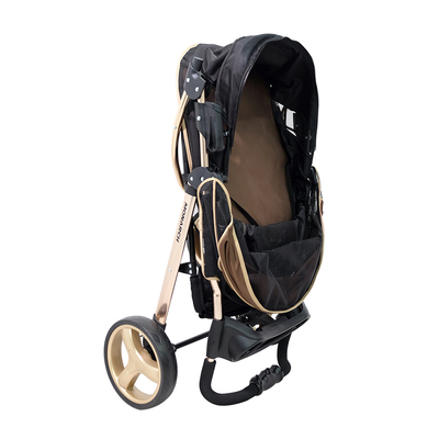 Ibiyaya       28 , Monarch Premium Pet Jogger  Luxury Gold (,  8)
