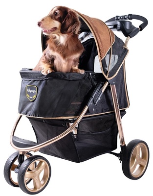 Ibiyaya       28 , Monarch Premium Pet Jogger  Luxury Gold (,  3)