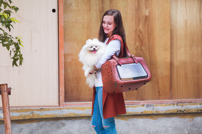 Ibiyaya  -      6  Portico Deluxe Leather Pet Transporter,     (,  1)