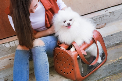 Ibiyaya  -      6  Portico Deluxe Leather Pet Transporter,     (,  2)