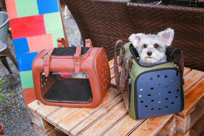 Ibiyaya складная сумка-переноска для кошек и собак до 6 кг Portico Deluxe Leather Pet Transporter, прозрачная с коричневой кожей (фото, вид 12)