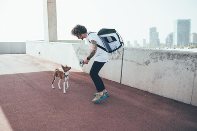 Ibiyaya  -      8  Explorer Airline Transparent Pet Carrier Plus (,  7)