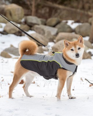 Dog Gone Smart       ,       Meteor Nanobreaker Jacket (,  1)