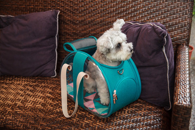 Ibiyaya  -     The Bubble Hotel Semi-transparent Pet Carrier -Turquoise (,  3)