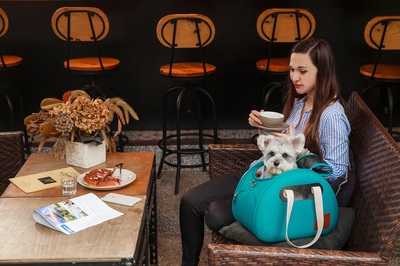 Ibiyaya  -     The Bubble Hotel Semi-transparent Pet Carrier -Turquoise (,  5)