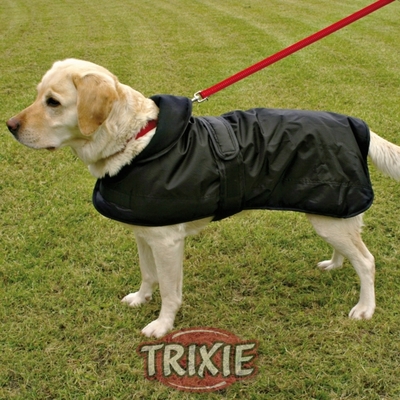 Trixie    "Paris" (,  2)