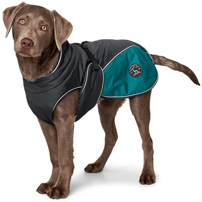 Hunter утепленная куртка для собак Uppsala Cozy, цвет антрацит/бирюзовый (фото, вид 1)