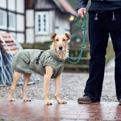 Hunter    ,    Uppsala Trend,   (,  2)