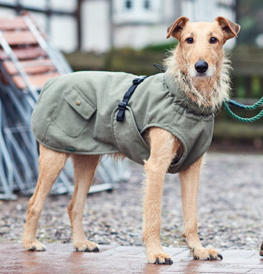 Hunter    ,    Uppsala Trend,   (,  4)