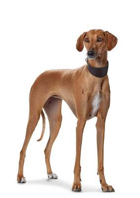 Hunter  Super Soft,  ( , ),   (,  3)
