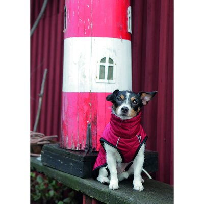 Trixie        Minot (,  1)