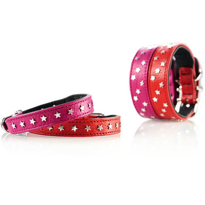 Hunter  Capri Mini Stars,    (,  4)