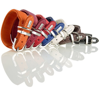 Hunter  Cannes Mini,   ,   (,  1)