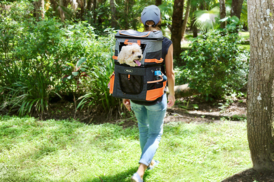 Ibiyaya -      12 ,  -, Two-tier Pet Backpack (,  16)