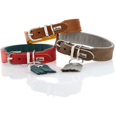 Hunter    Lucca Petit,    ,   (,  1)