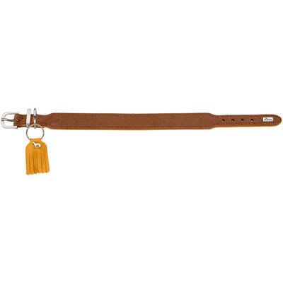 Hunter    Lucca Petit,    ,   (,  1)