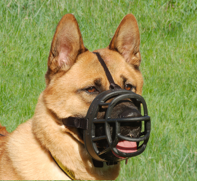 Trixie  Muzzle Flex, ,   (,  3)