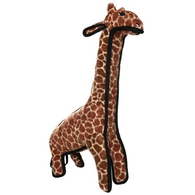 Tuffy      "" ,  8/10, Zoo Giraffe (,  1)