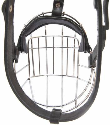 JULIUS-K9     c   Middle (369,59,5),   (,  3)
