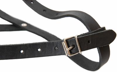 JULIUS-K9     Large (30127),   (,  2)
