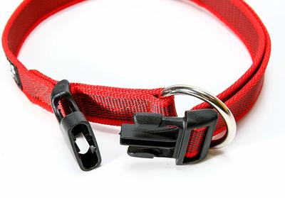 JULIUS-K9    Color & Gray, - (,  1)