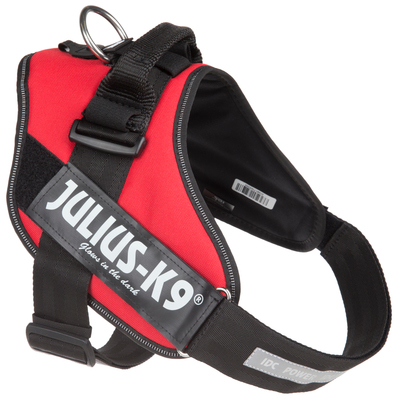 JULIUS-K9    IDC-Powerharness,   (,  1)