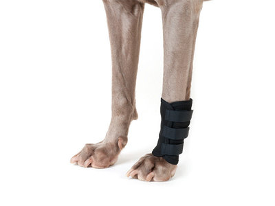 Kruuse Rehab Carpal Joint Protection     (,  1)