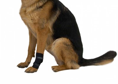 Kruuse Rehab Carpal Joint Protection     (,  2)