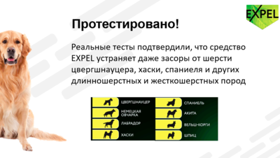 EXPEL           , 6 .  50  (,  3)